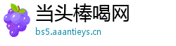 当头棒喝网